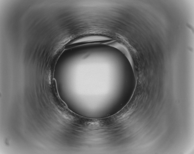 X0000096430068200802071735