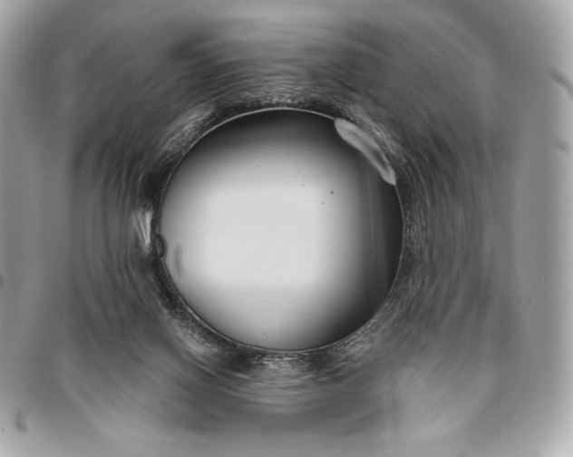 X0000096430070200802071735