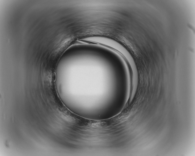 X0000096430072200802071735