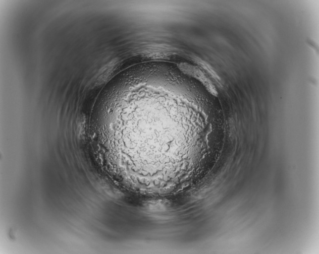 X0000096430073200802071735