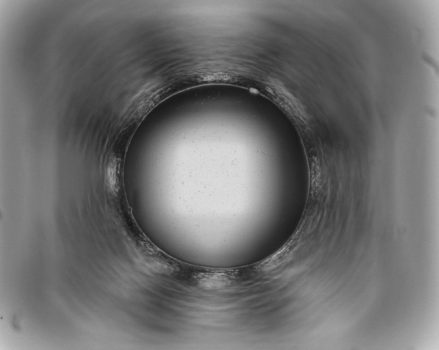 X0000096430074200802071735