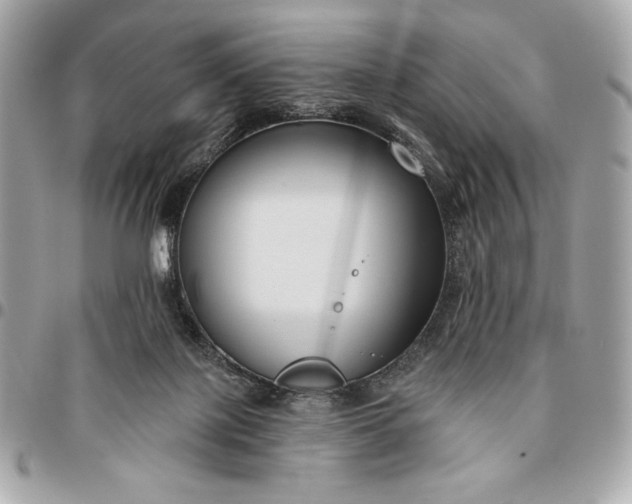 X0000096430075200802071735