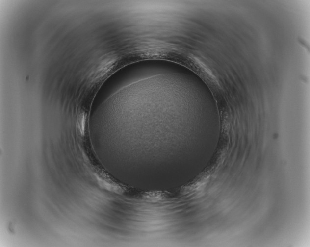 X0000096430076200802071735