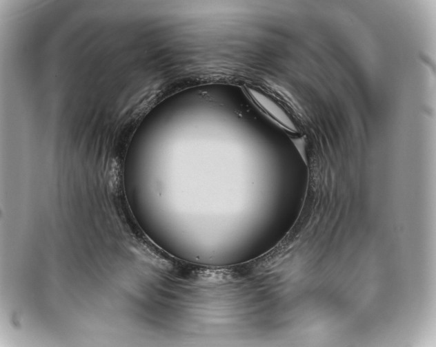 X0000096430077200802071735