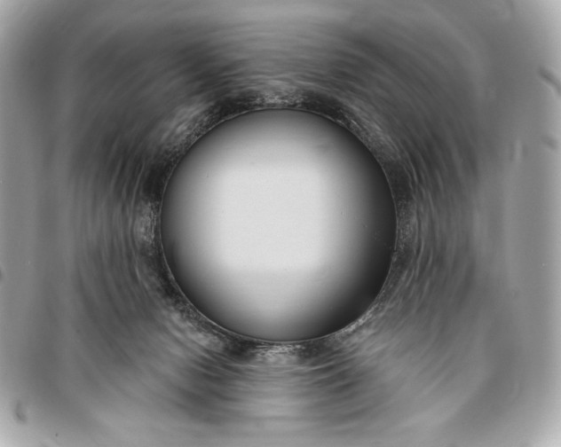 X0000096430078200802071735