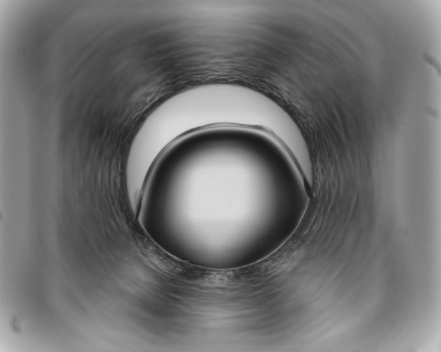 X0000096430080200802071735