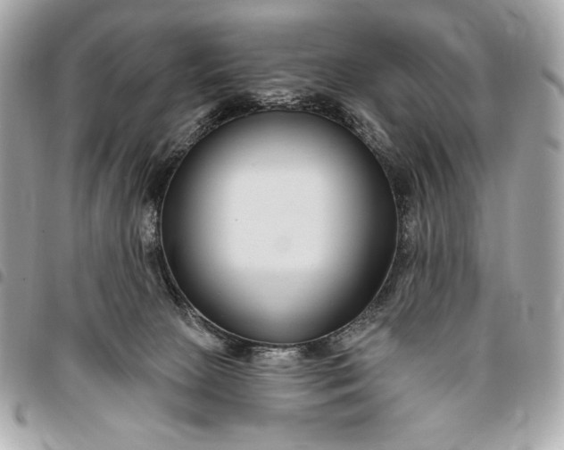 X0000096430081200802071735