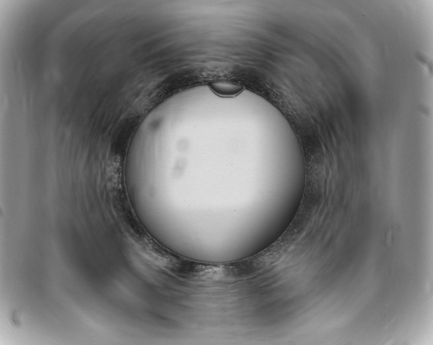 X0000096430083200802071735