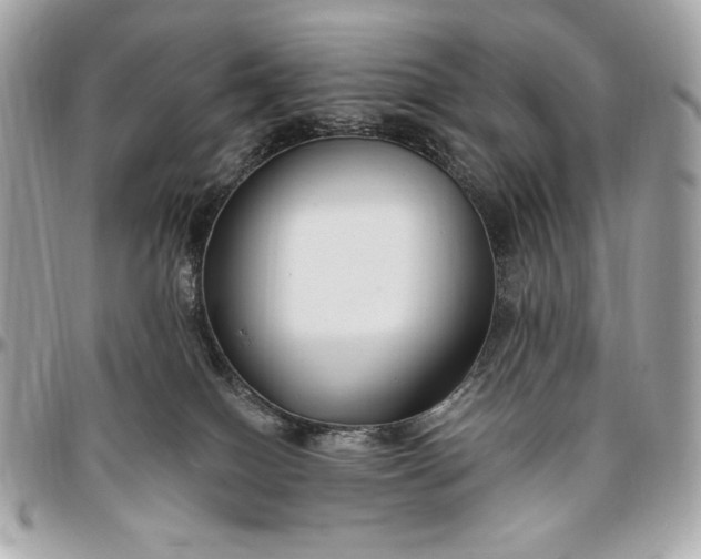 X0000096430086200802071735