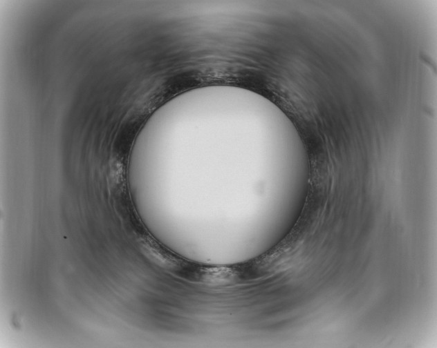 X0000096430087200802071735