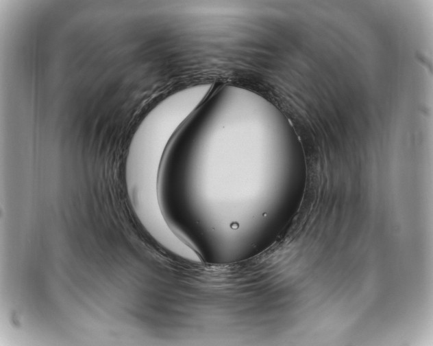 X0000096430088200802071735