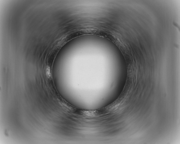 X0000096430089200802071735