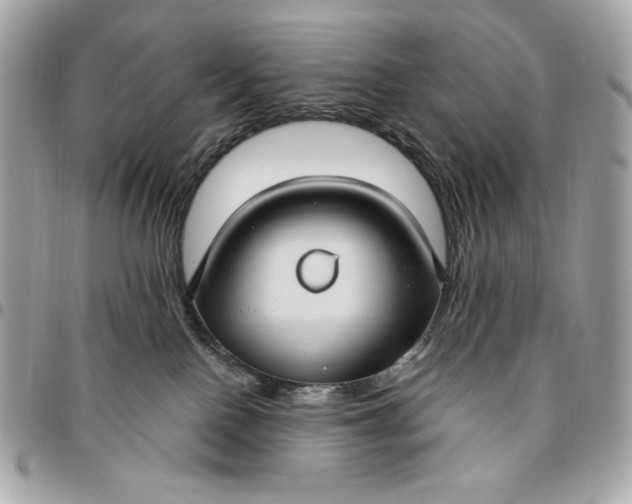 X0000096430090200802071735