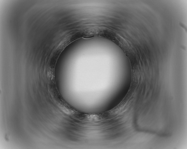 X0000096430091200802071735