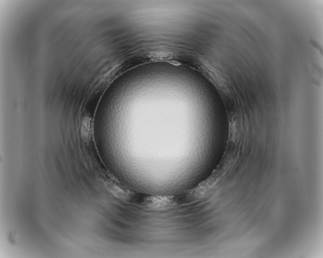 X0000096430093200802071735