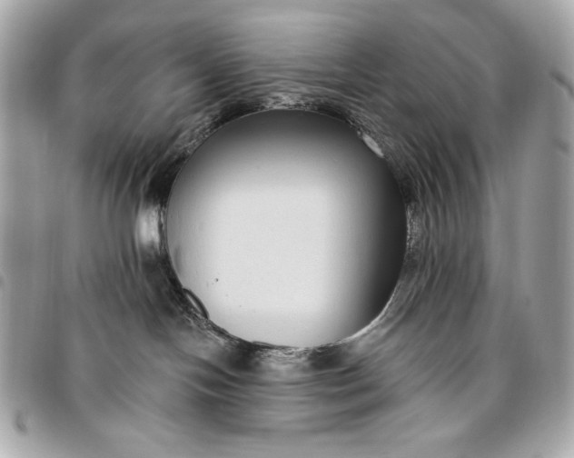 X0000096430094200802071735