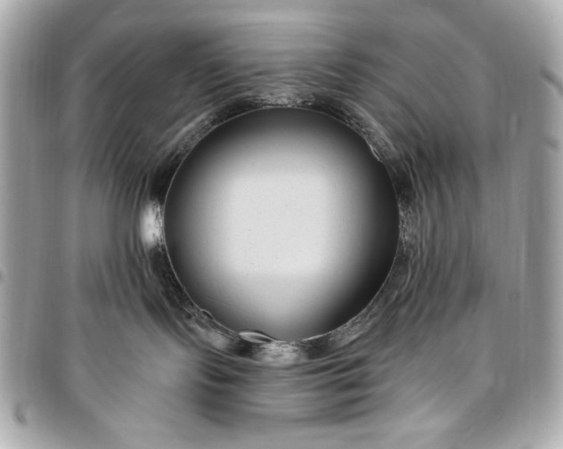 X0000096430095200802071735