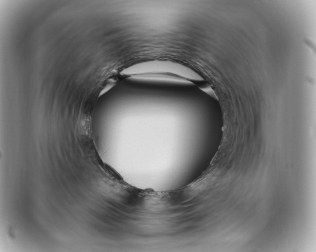X0000096430096200802071735