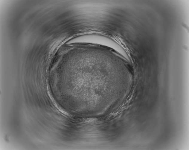 X0000096430097200802071734