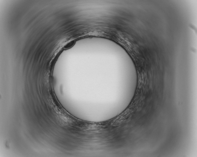 X0000096430098200802071734