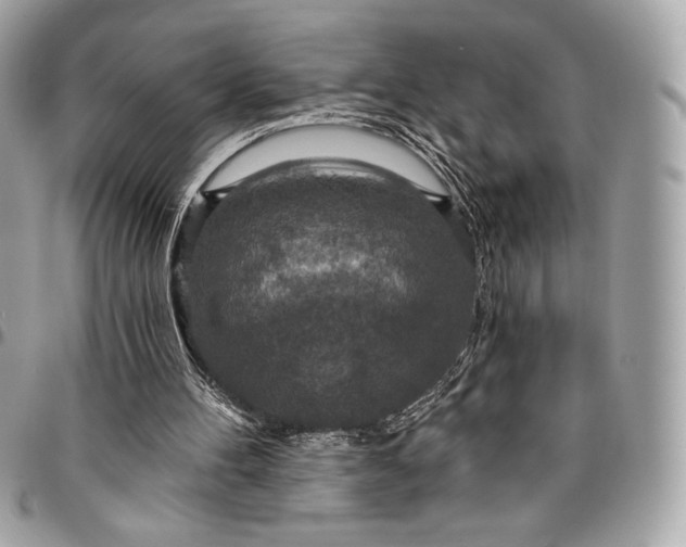 X0000096430100200802071734