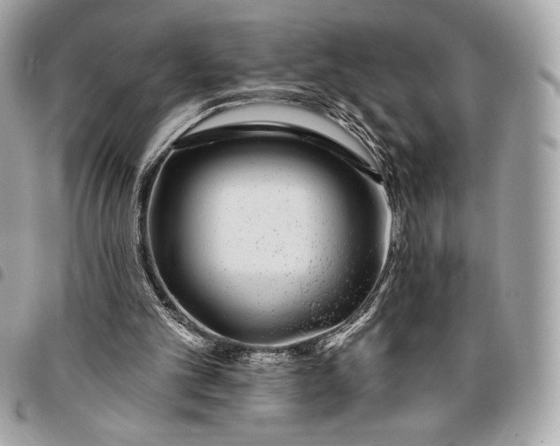 X0000096430101200802071734