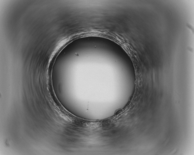 X0000096430102200802071734