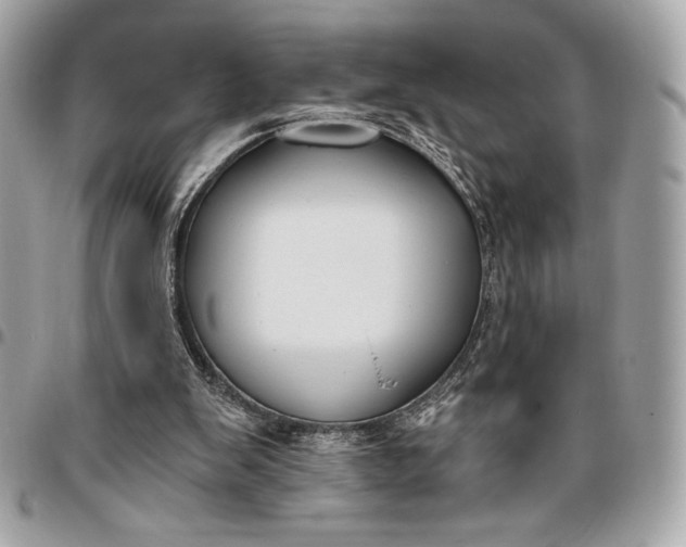 X0000096430103200802071734