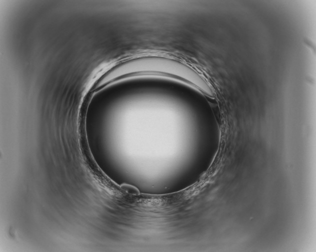 X0000096430104200802071734