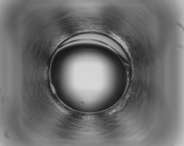 X0000096430105200802071734