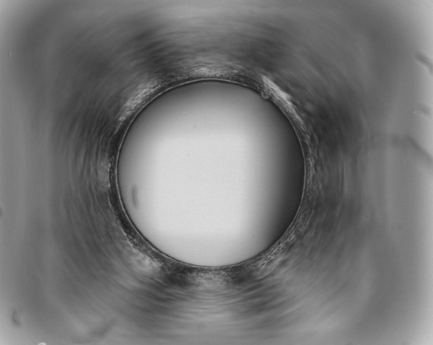 X0000096430106200802071734