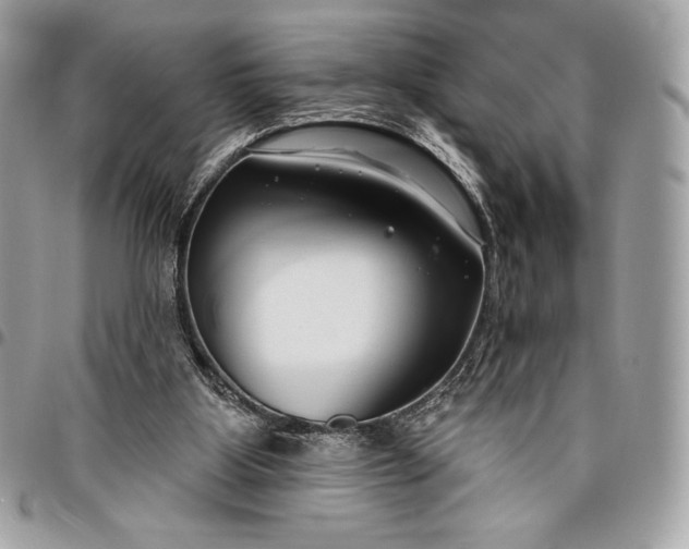 X0000096430107200802071734