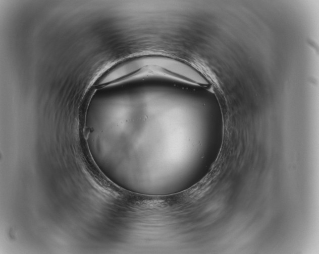 X0000096430108200802071734
