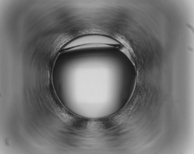 X0000096430109200802071734
