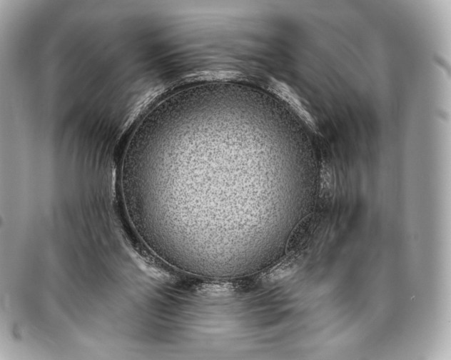 X0000096430110200802071734