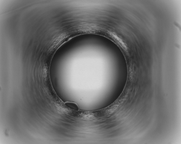 X0000096430113200802071734