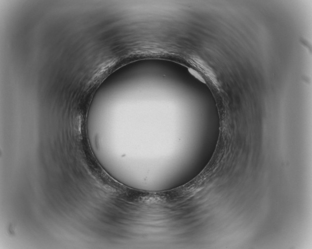 X0000096430115200802071734