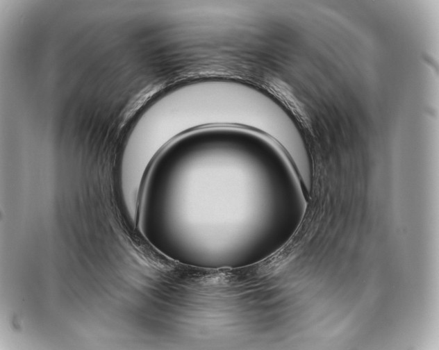 X0000096430116200802071734