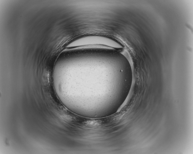 X0000096430117200802071734