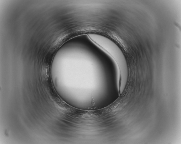 X0000096430119200802071734