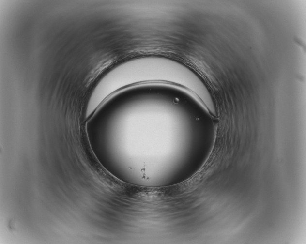 X0000096430120200802071734