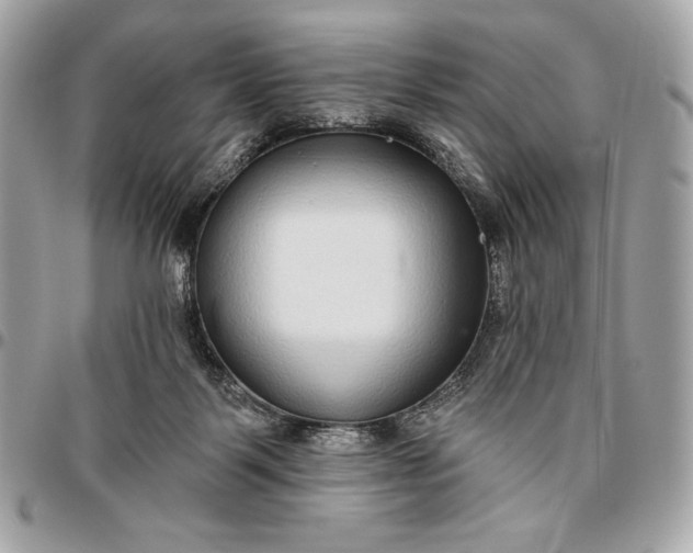 X0000096430123200802071734