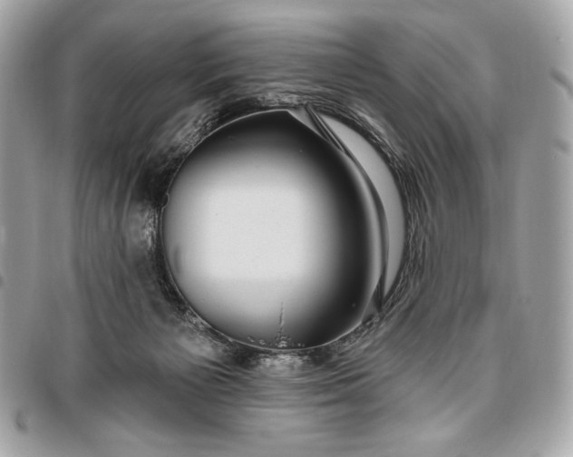 X0000096430125200802071734
