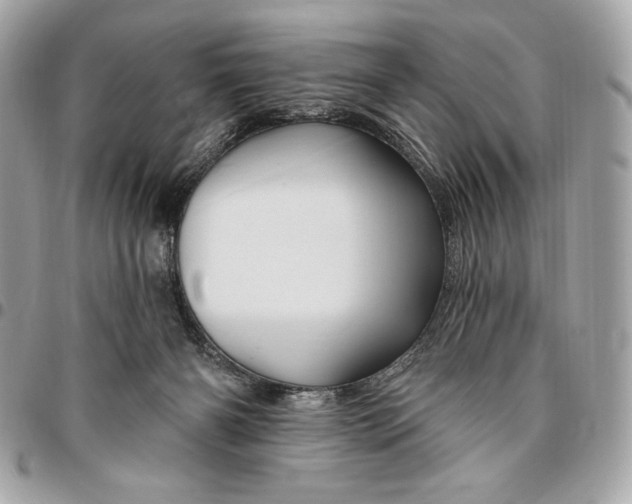 X0000096430126200802071734