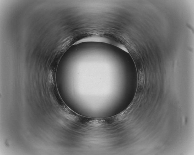 X0000096430128200802071734