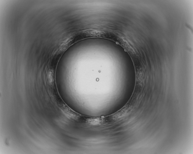X0000096430131200802071734