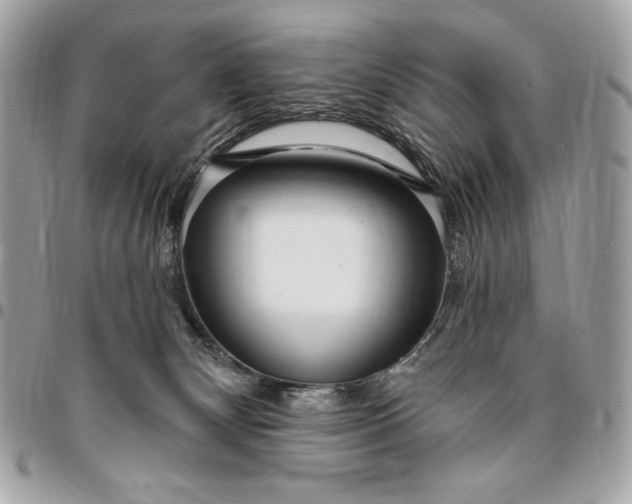 X0000096430132200802071734