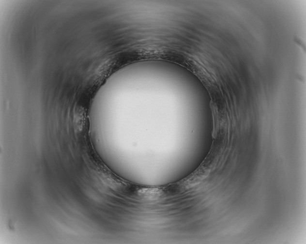 X0000096430133200802071734