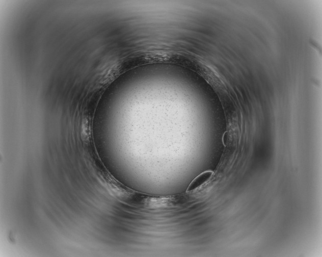 X0000096430134200802071734