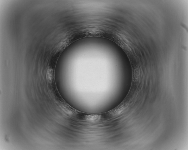 X0000096430135200802071734